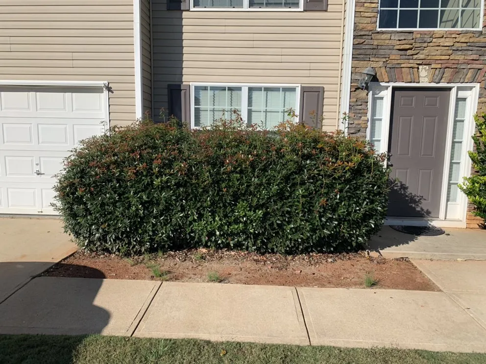 Affordable residential landscaping in Covington, GA - Rockstar Lawn Care