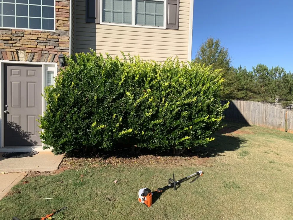 Expert landscape installation in Covington, GA - Rockstar Lawn Care