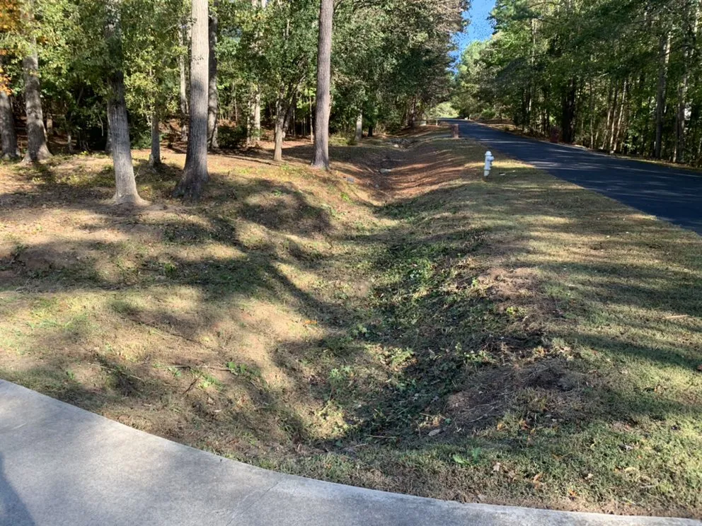 Custom lawn mowing service in Covington, GA - Rockstar Lawn Care