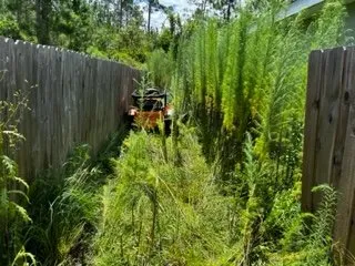 Expert yard maintenance in Jacksonville, FL - Rockstar Outdoors