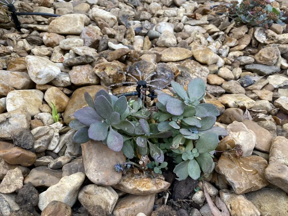 Expert lawn care service in Broken Arrow, OK - Rockwell Irrigation & Landscaping