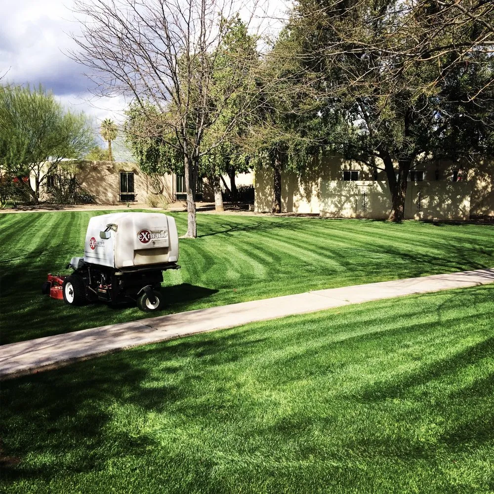Local lawn care service experts serving Peoria, AZ - Rockwell Landscape Maintenance
