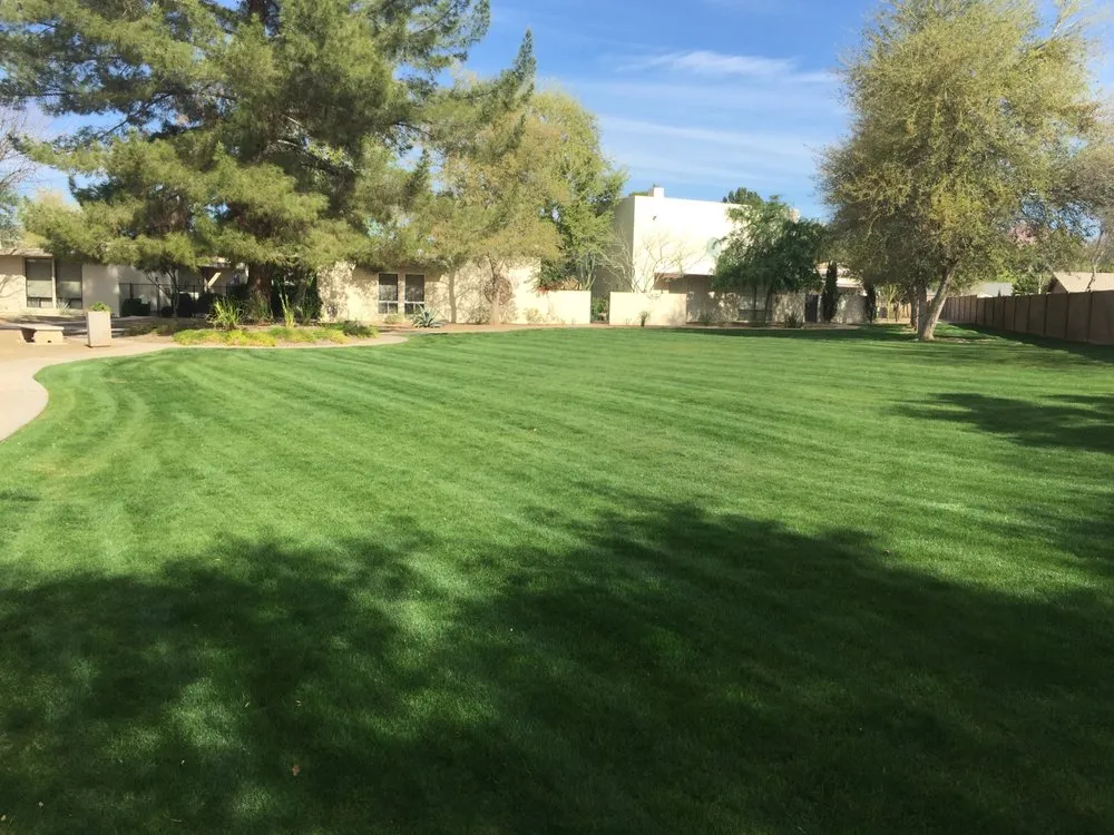 Local landscaping services for residential properties in Peoria, AZ by Rockwell Landscape Maintenance