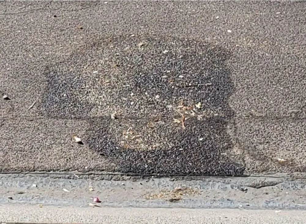 Professional yard maintenance for residential properties across Peoria, AZ - Rockwell Landscape Maintenance