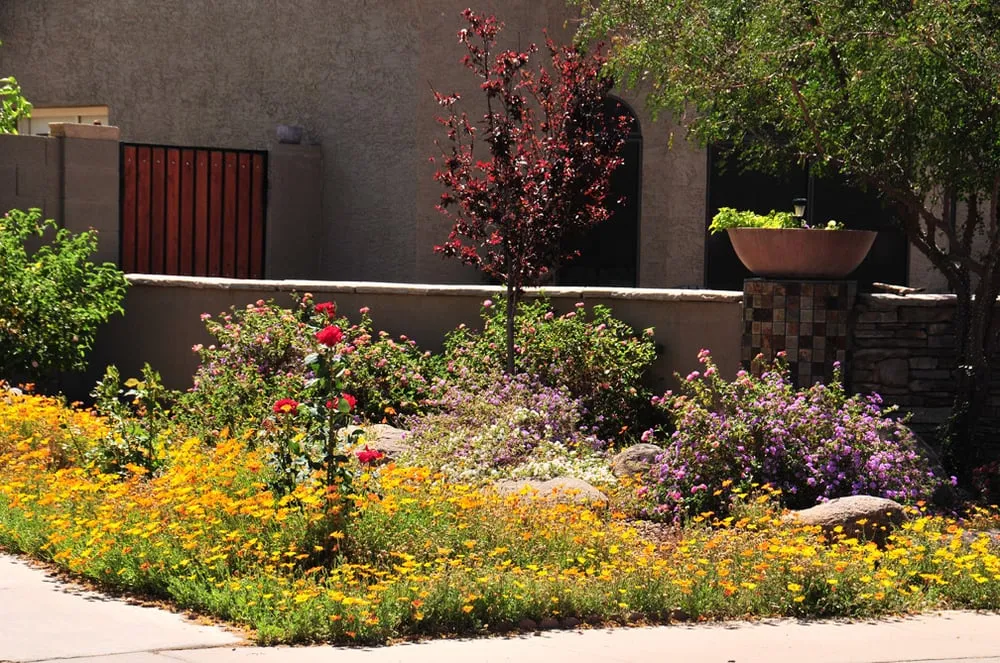 Trusted outdoor landscaping in Peoria, AZ - Rockwell Landscape Maintenance