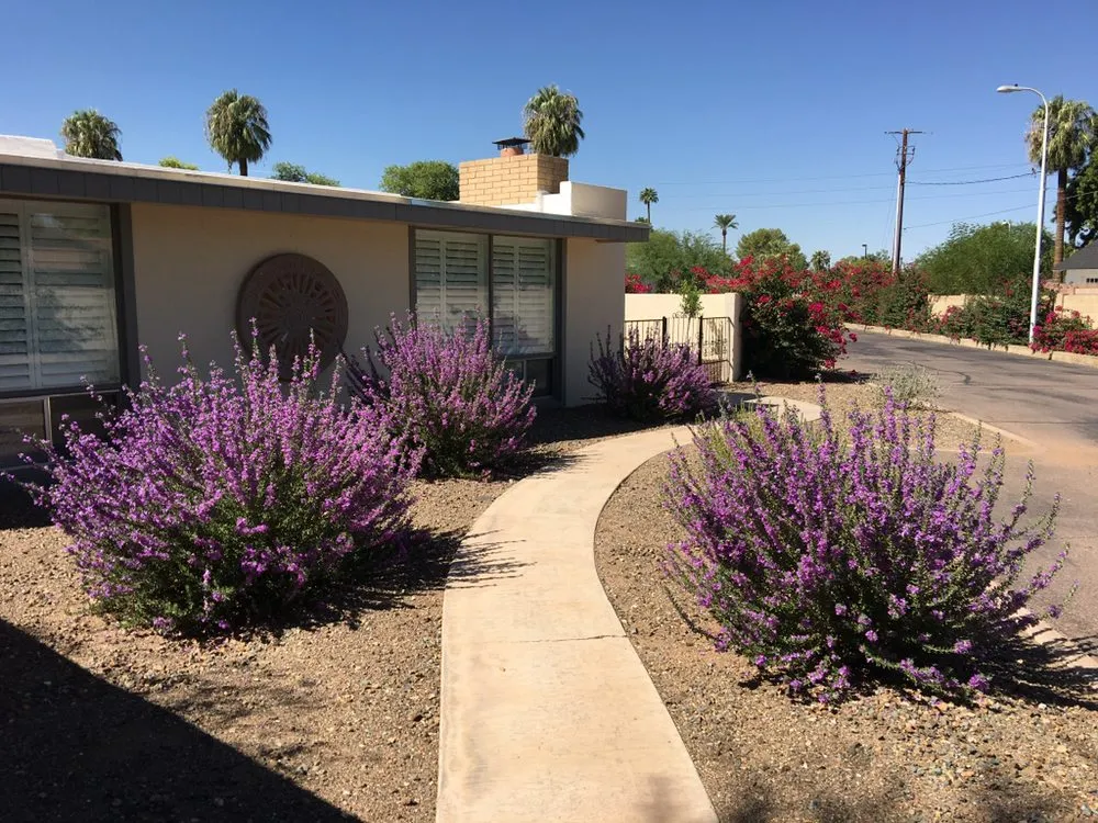 Top-rated residential landscaping for beautiful yards in Peoria, AZ by Rockwell Landscape Maintenance