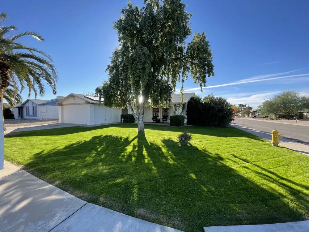 Top-rated landscape installation in Peoria, AZ by Rockwell Landscape Maintenance