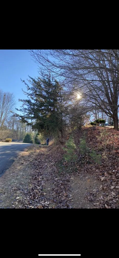 Affordable landscape design in Asheville, NC - Rockwell Landscaping and Design