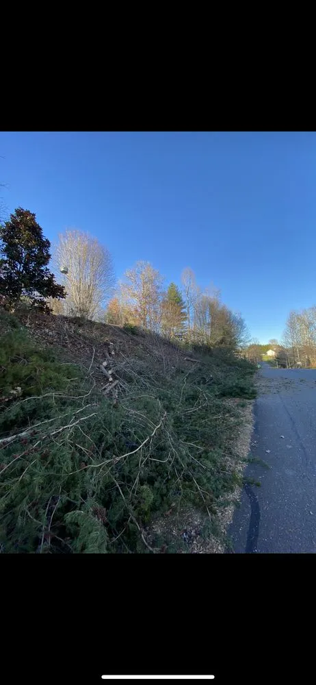 Local yard maintenance in Asheville, NC - Rockwell Landscaping and Design