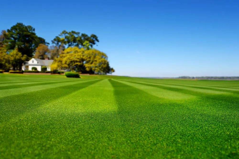 Reliable landscape installation experts serving Fort Worth, TX - Rockwell Lawn & Irrigation