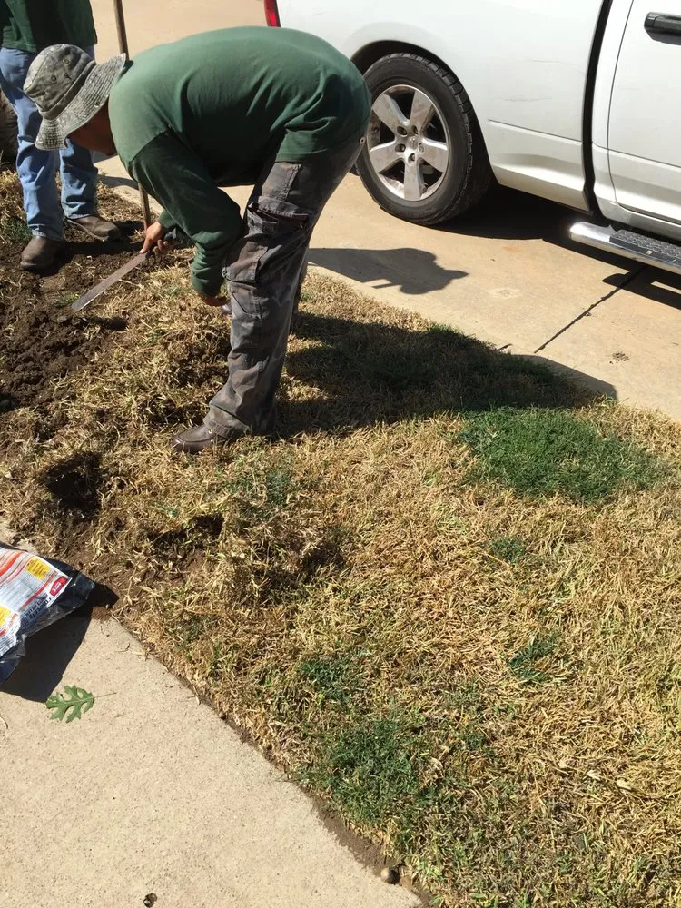 Top-rated yard maintenance in Fort Worth, TX by Rockwell Lawn & Irrigation