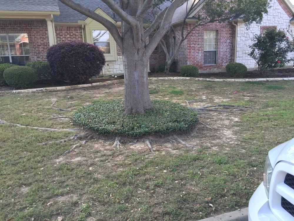 Custom landscape design for outdoor upgrades in Fort Worth, TX by Rockwell Lawn & Irrigation