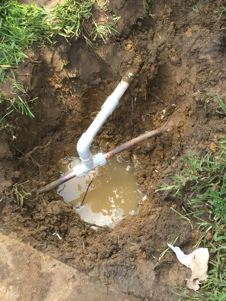 Professional garden landscaping in Fort Worth, TX by Rockwell Lawn & Irrigation