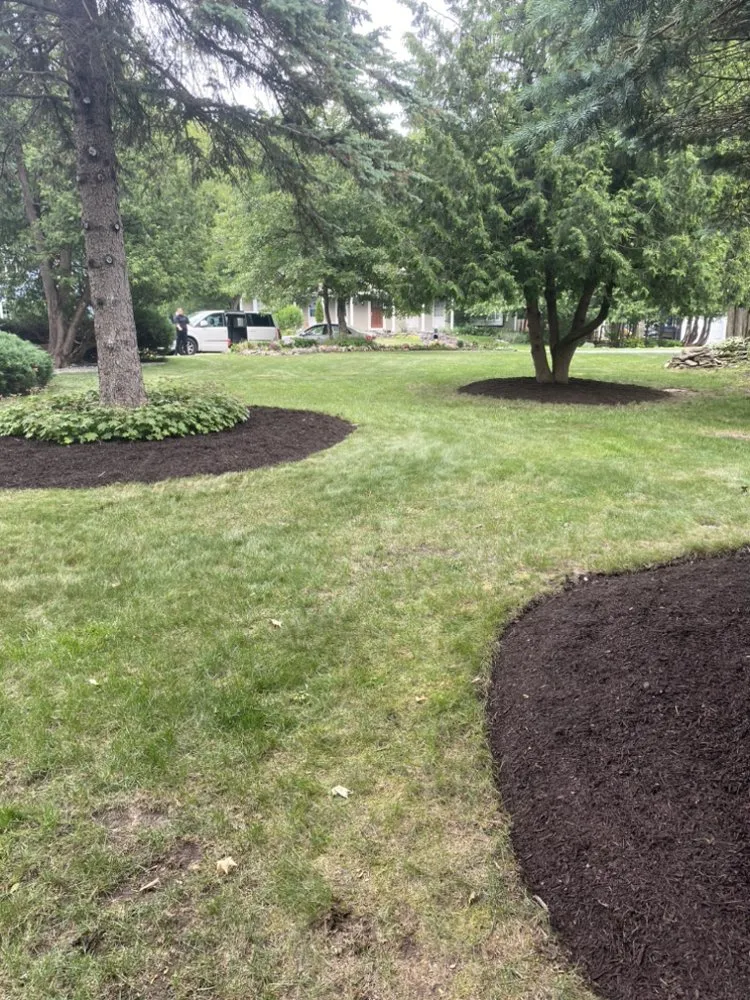 Expert yard cleanup service experts serving Nedrow, NY - Rockwell property pros