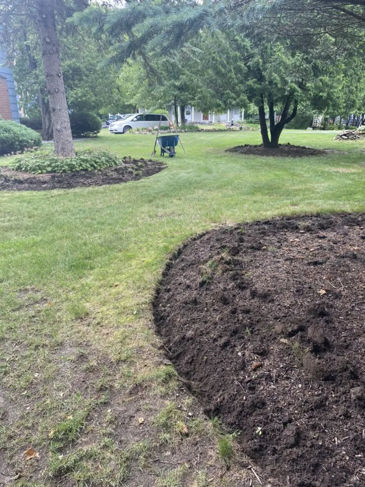 Reliable yard maintenance in Nedrow, NY by Rockwell property pros