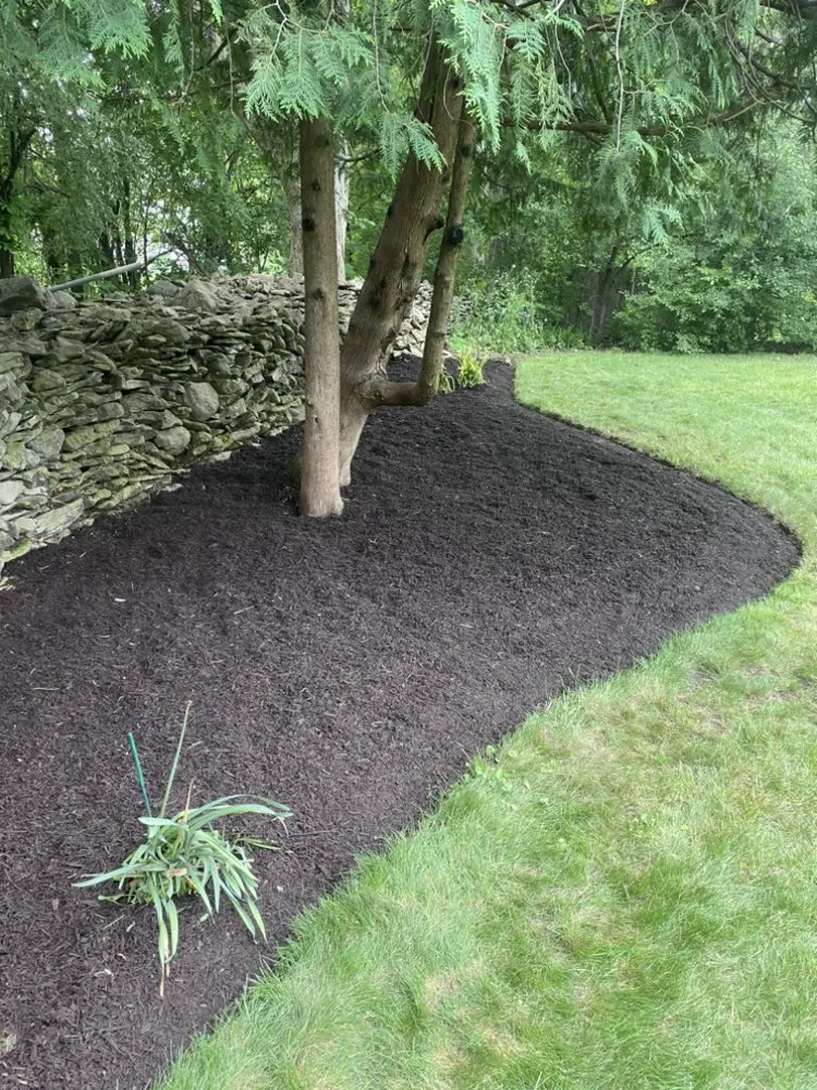 Affordable yard maintenance in Nedrow, NY by Rockwell property pros