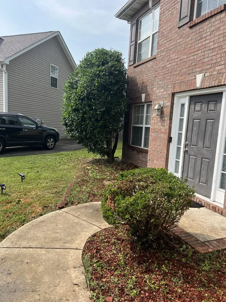 Trusted lawn mowing service in Knoxville, TN by Rocky City Lawn Care