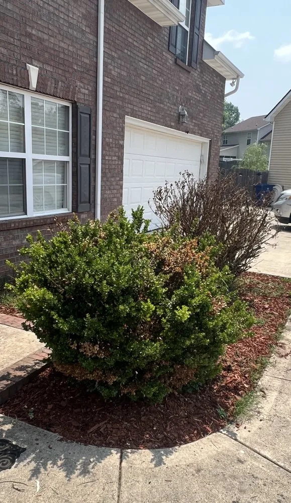 Top-rated outdoor landscaping in Knoxville, TN - Rocky City Lawn Care