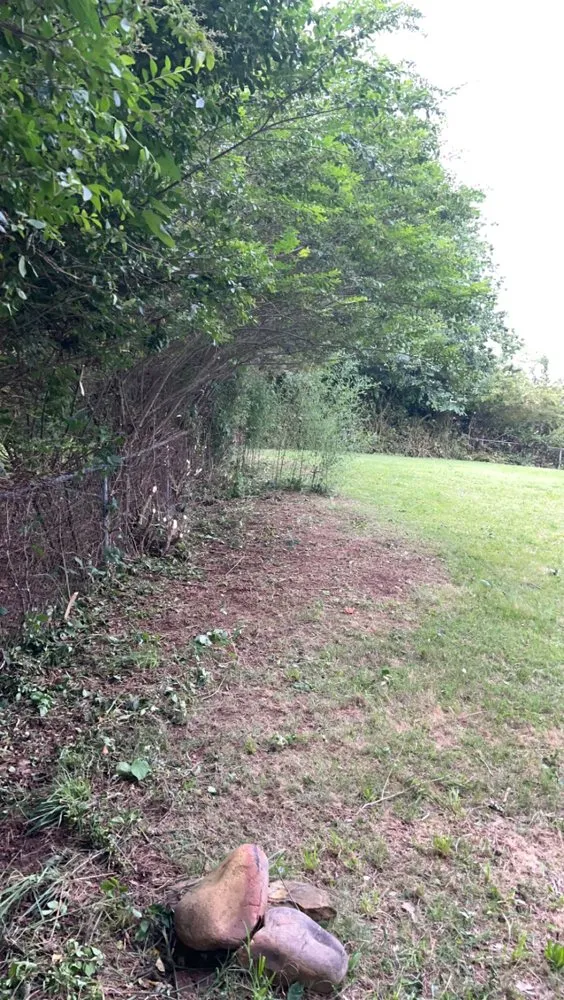 Reliable lawn mowing service for outdoor upgrades in Knoxville, TN by Rocky City Lawn Care