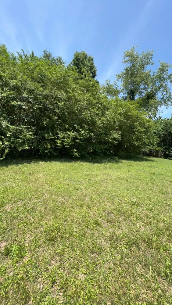 Reliable landscape design in Knoxville, TN - Rocky City Lawn Care