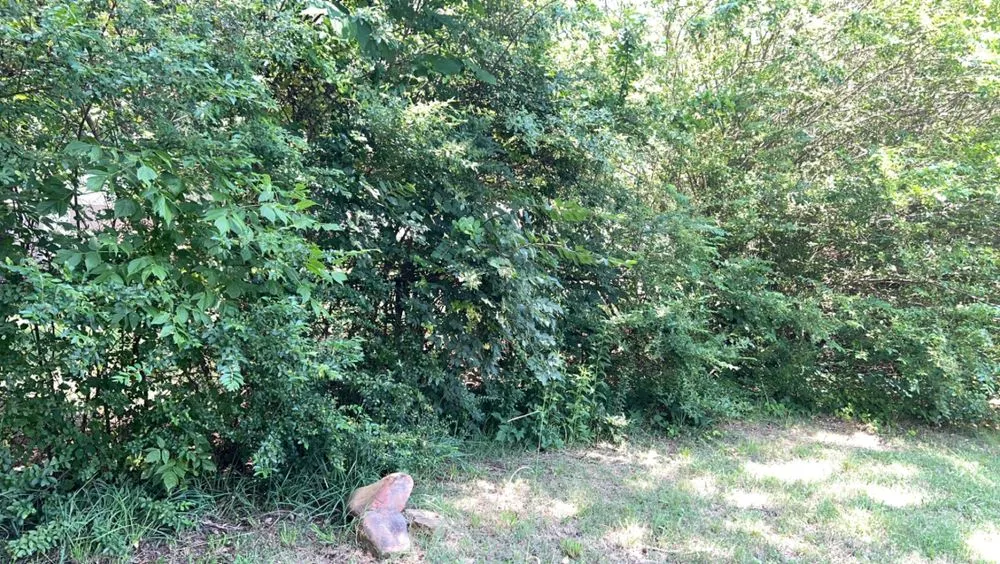 Reliable landscape installation for year-round maintenance across Knoxville, TN - Rocky City Lawn Care