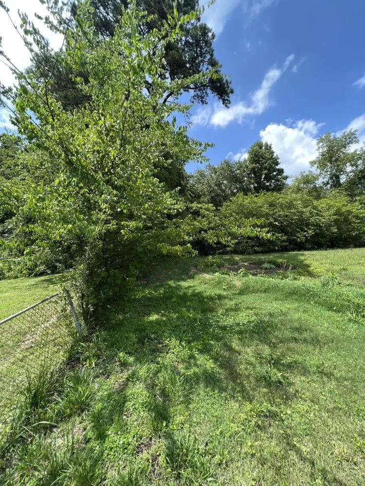 Expert landscape design for beautiful yards across Knoxville, TN - Rocky City Lawn Care