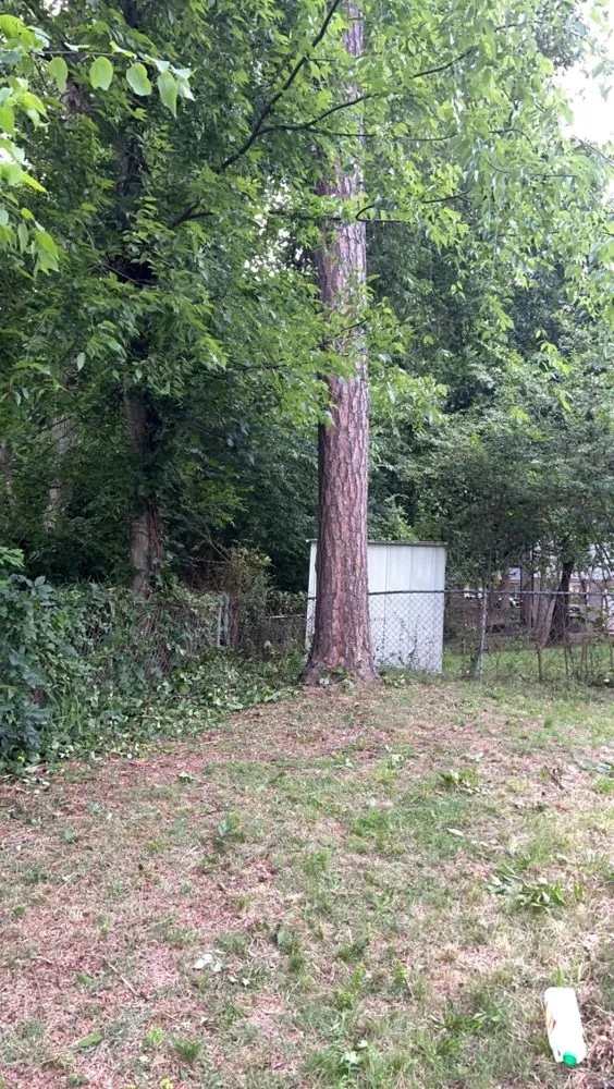 Professional yard maintenance for residential properties across Knoxville, TN - Rocky City Lawn Care