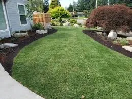 Expert lawn care service experts serving Atlanta, GA - Rocky Landscaping