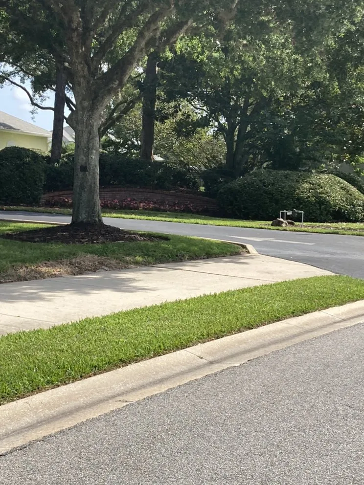 Top-rated landscape installation in De Leon Springs, FL - Rocky Landscaping