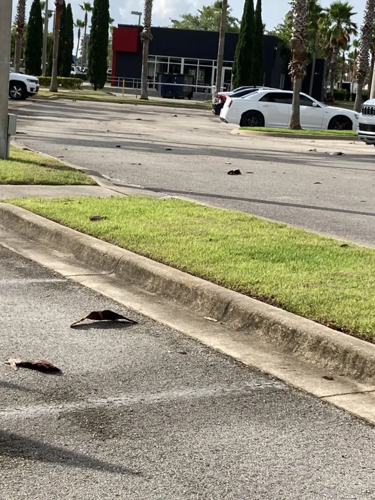 Trusted residential landscaping for beautiful yards in De Leon Springs, FL by Rocky Landscaping