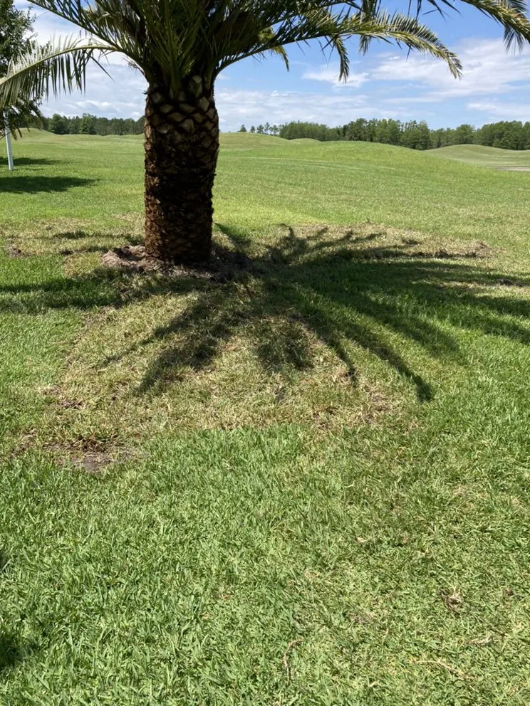 Expert landscape design in De Leon Springs, FL - Rocky Landscaping