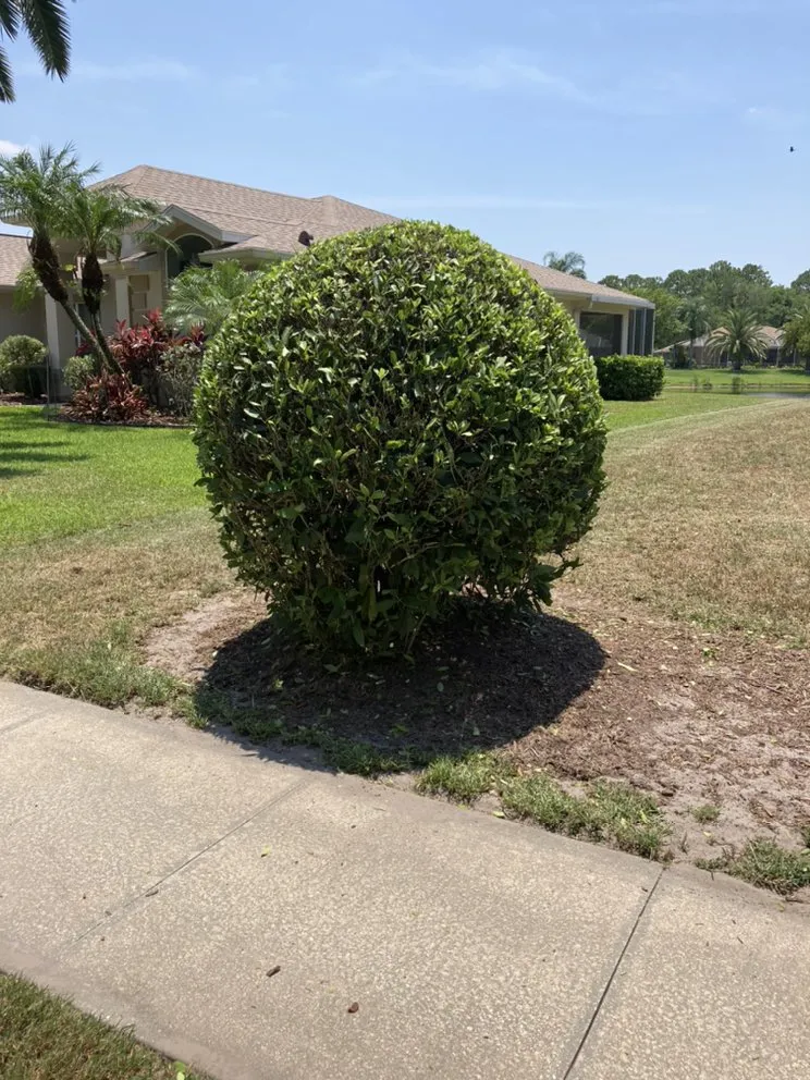Custom yard maintenance for residential properties across De Leon Springs, FL - Rocky Landscaping