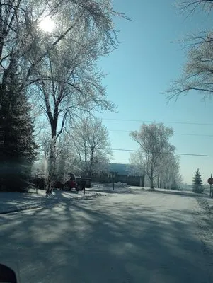 Rocky Lawn Service Logo