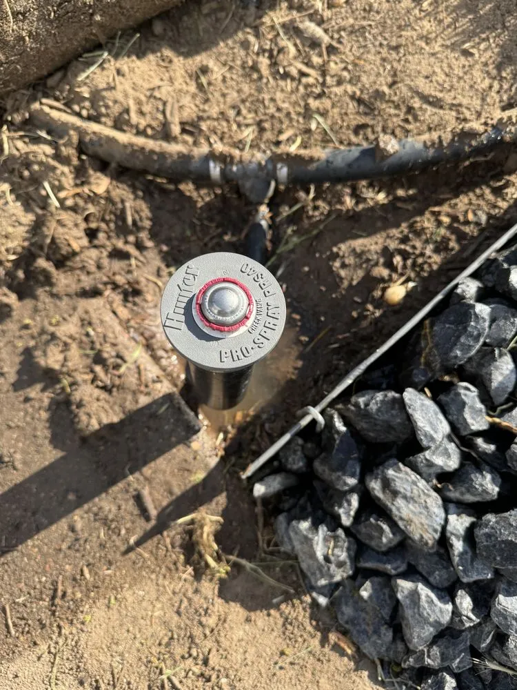 Affordable landscape design for beautiful yards in Bennett, CO by Rocky Mountain Construction