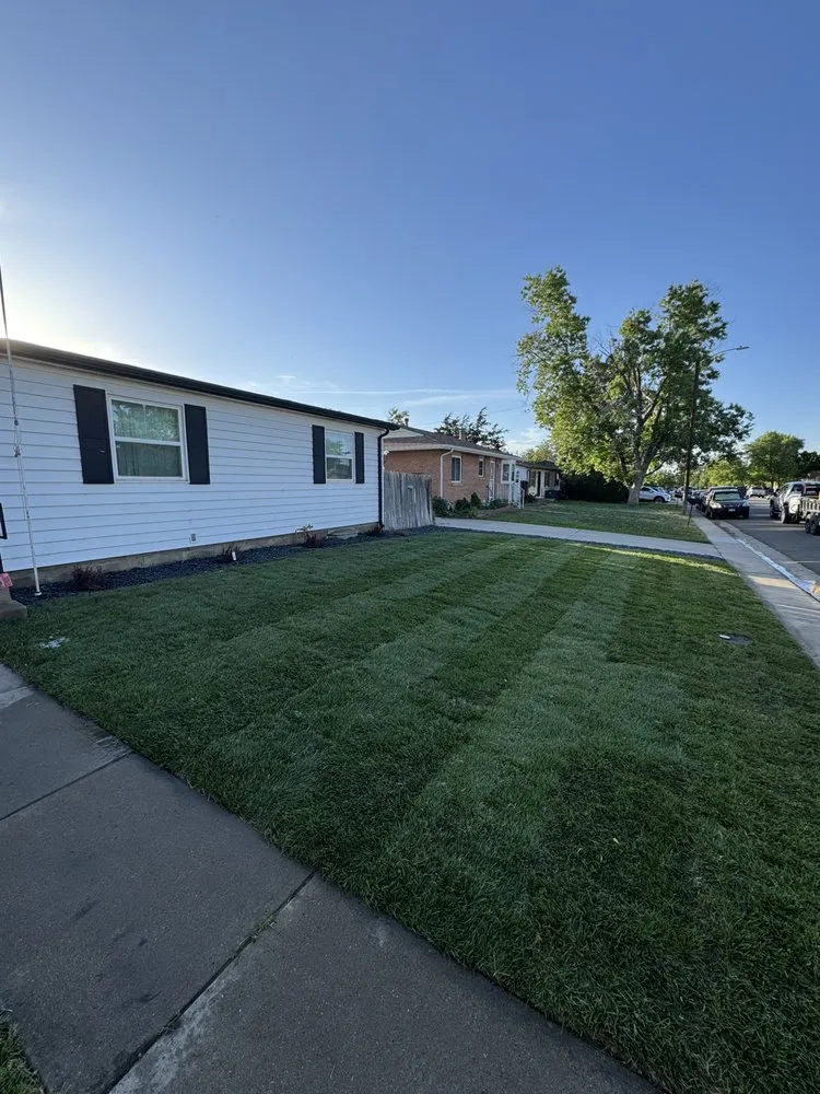 Affordable landscaping services in Bennett, CO by Rocky Mountain Construction