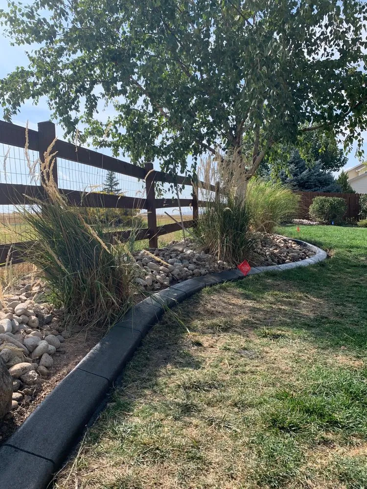 Professional lawn mowing service in Severance, CO - Rocky Mountain Curbscape