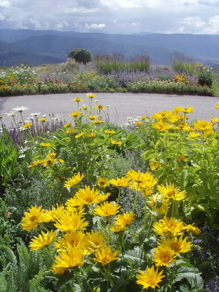 Trusted yard cleanup service for homes across Carbondale, CO - Rocky Mountain Custom Landscapes