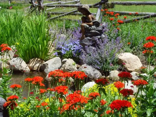 Rocky Mountain Custom Landscapes