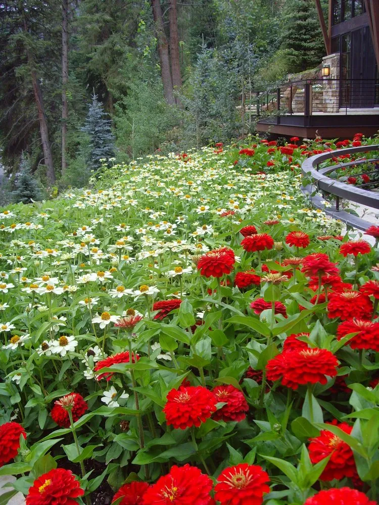 Affordable landscape installation in Gypsum, CO by Rocky Mountain Custom Landscapes