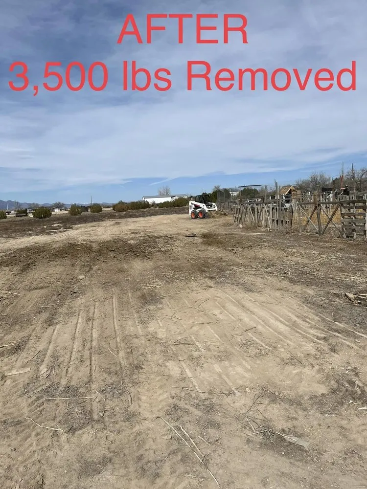 Trusted yard maintenance with custom design across Cañon City, CO - Rocky Mountain Land Scrapers & Concrete