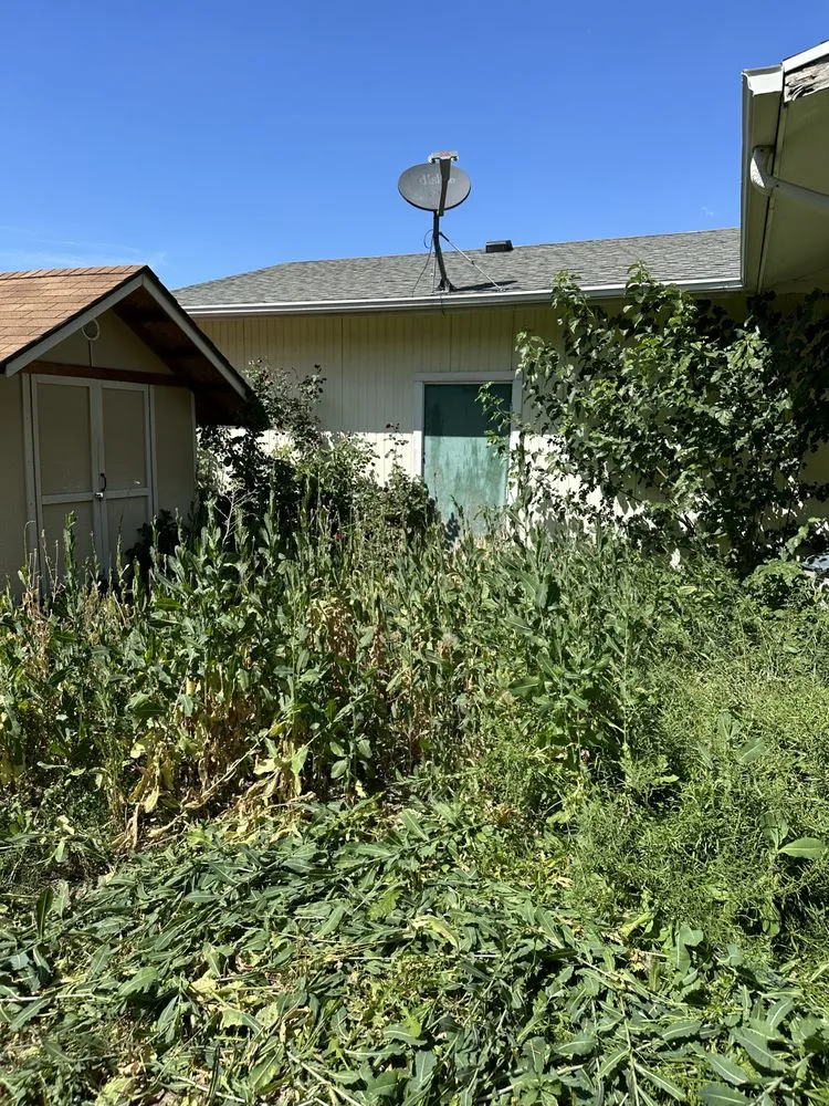 Expert residential landscaping with custom design in Murray, UT by Rocky Mountain Landscaping