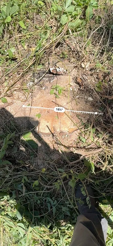 Professional landscape design for homes across Murray, UT - Rocky Mountain Landscaping