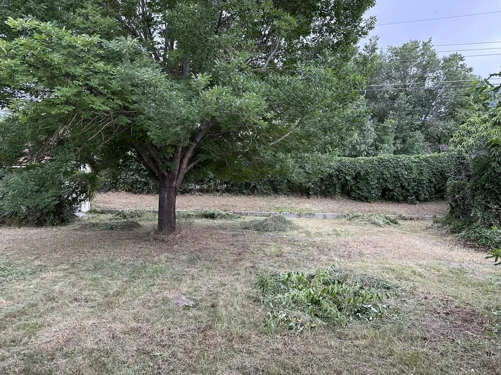 Trusted landscape installation experts serving Murray, UT - Rocky Mountain Landscaping