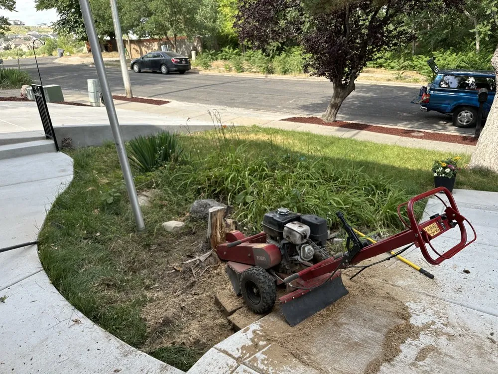 Reliable yard maintenance in Murray, UT - Rocky Mountain Landscaping