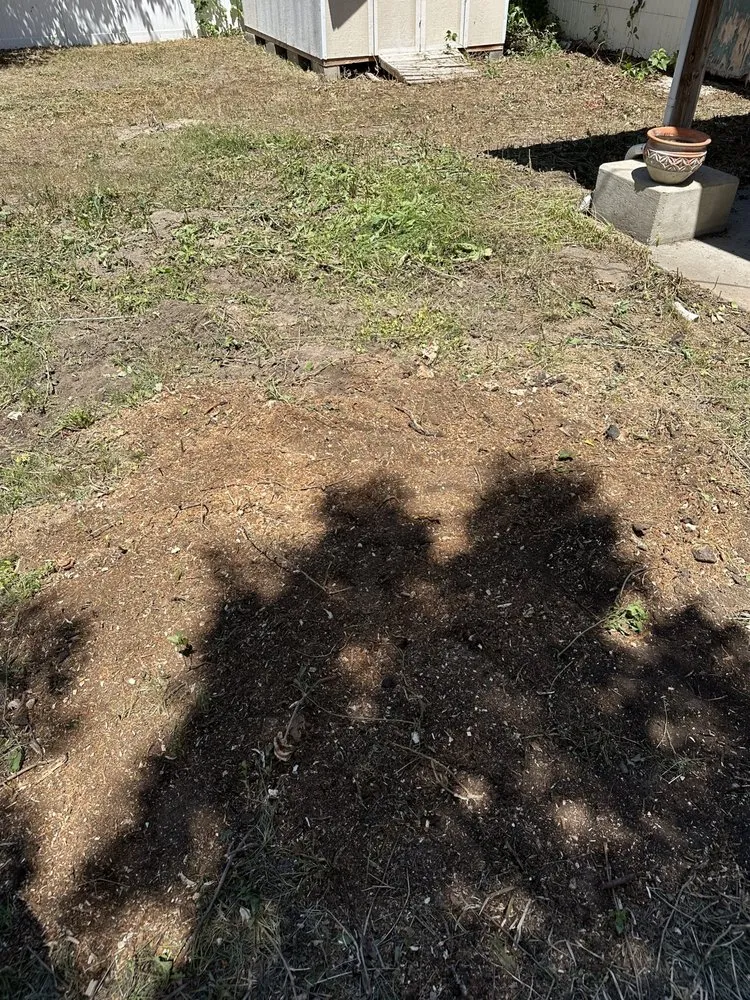 Local yard cleanup service experts serving Murray, UT - Rocky Mountain Landscaping