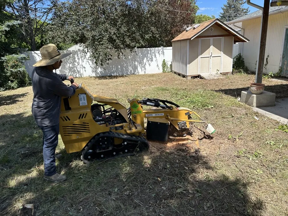 Expert yard cleanup service for beautiful yards across Murray, UT - Rocky Mountain Landscaping