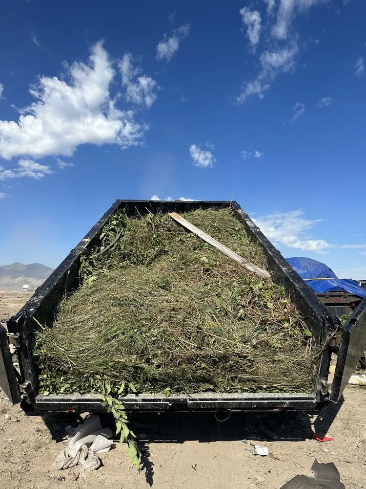 Top-rated yard maintenance experts serving Murray, UT - Rocky Mountain Landscaping