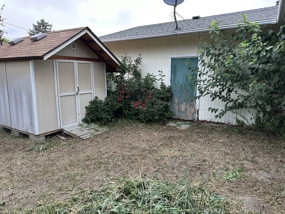 Top-rated yard cleanup service for year-round maintenance in Murray, UT by Rocky Mountain Landscaping