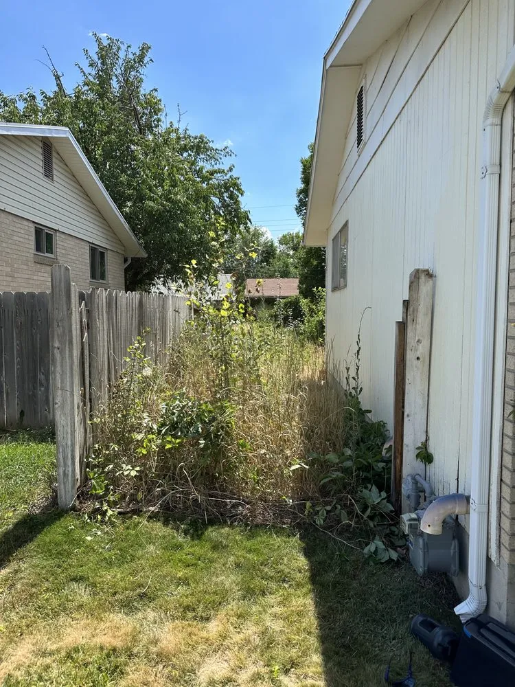 Top-rated lawn care service in Murray, UT by Rocky Mountain Landscaping