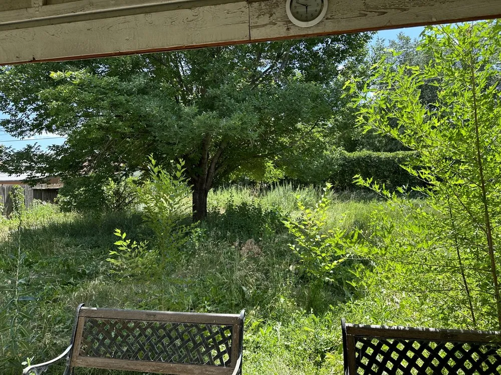 Affordable yard maintenance in Murray, UT - Rocky Mountain Landscaping